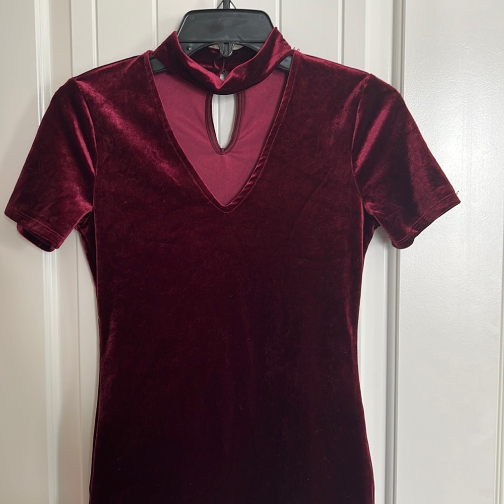 Ambiance velvet shocker blouse size small